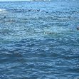 Travel to Cape Town South Africa Diary Adventure