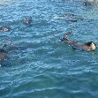 Travel to Cape Town South Africa Travel Blog