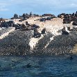 Travel to Cape Town South Africa Holiday