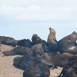 Travel to Cape Town South Africa Album