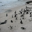 Travel to Cape Town South Africa Album Photos