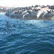 Travel to Cape Town South Africa Diary Experience