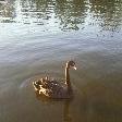 Holiday in Adelaide South Australia Holiday Sharing