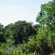   Iguazu River Brazil Photography