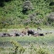 Tanzania safari holiday in Arusha Blog Photos