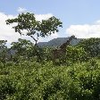 From Arusha to the Kuro Airstrip Tanzania Blog Photo Elewana Sky Safari Tanzania