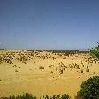 Pinnacle Desert in rental car, Australia Cervantes Trip Sharing