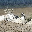 Puerto Madryn Argentina