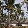 Karafuu Hotel Beach Resort Zanzibar Zanzibar City Tanzania Review Picture