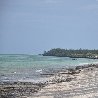 Karafuu Hotel Beach Resort Zanzibar Zanzibar City Tanzania Story Sharing