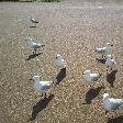 Photo  Cape Naturaliste Australia