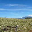 Tenorio Volcano Costa Rica Trip Sharing