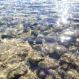Lake Tahoe Weekend Getaway United States Diary Photography