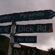 Travelling Otago Peninsula, New Zealand Dunedin Trip Picture