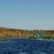 Everglades United States
