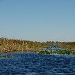 Everglades National Park Boat Tour United States Diary Tips