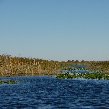 Everglades National Park Boat Tour United States Diary Tips Everglades National Park Boat Tour