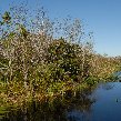   Everglades United States Trip Guide