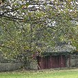   Gyeongju-si South Korea Trip Experience