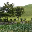   Gyeongju-si South Korea Travel Photographs