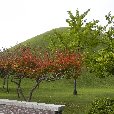   Gyeongju-si South Korea Picture