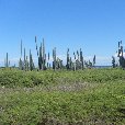 Holiday in Bonaire, a Caribbean Cruise Netherlands Antilles Picture Sharing