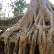 Siem Reap Temple Tour Cambodia Vacation Photo