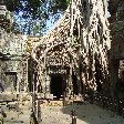 Siem Reap Temple Tour Cambodia Vacation Pictures