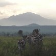 Mikumi National Park Safari Tanzania Review