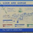   Lorne Australia Vacation Adventure