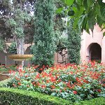 Cultural Trip to Granada Spain Diary Adventure