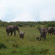   Masai Mara Kenya Holiday Tips