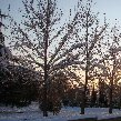 Winter Holiday in Tehran Iran Vacation Photos