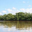 Flamingo Tour in Yucatan Mexico Celestun Photograph Flamingo Tour in Yucatan Mexico