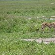 Tarangire National Park Tanzania