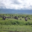   Tarangire National Park Tanzania Review Photo