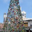 Christmas in Sydney Australia Diary Photos