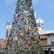 Christmas in Sydney Australia Diary Photos