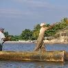 Shrimp-Fishing in Dominican republic Sanchez Ramirez Vacation Adventure