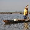 Shrimp-Fishing in Dominican republic Sanchez Ramirez Review Picture