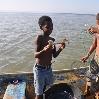 Shrimp-Fishing in Dominican republic Sanchez Ramirez Album Pictures Shrimp-Fishing in Dominican republic