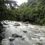 Cape Tribulation Australia