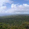 Moreton Island Australia Trip Picture