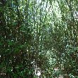   Ilha Grande Brazil Travel Gallery