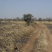 Tanguieta Benin