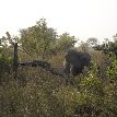 Benin Wildlife Safari Tour Tanguieta Trip Photo