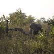 Tanguieta Benin