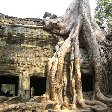 Tuk tuk temple tour in Siem Reap Angkor Cambodia Travel Photo