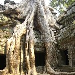 Tuk tuk temple tour in Siem Reap Angkor Cambodia Diary Information