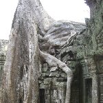 Tuk tuk temple tour in Siem Reap Angkor Cambodia Photo Gallery